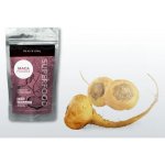 Health link Bio Maca prášek 120 g – Hledejceny.cz