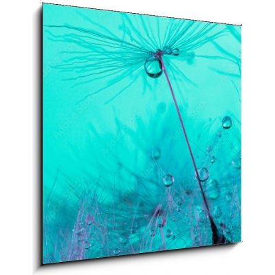 Obraz 1D - 50 x 50 cm - Parachute seed from a dandelion on a blue background Padák osivo z pampelišky na modrém pozadí – Zboží Mobilmania