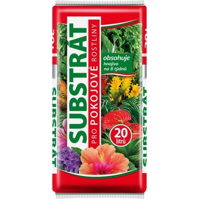 Forestina Standard Pokojové rostliny 20 l – Zboží Dáma