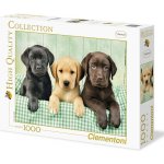 Clementoni Tři labradoři HQC 1000 dílků – Zboží Dáma
