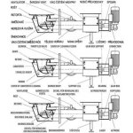 Rojek TKA BIO 80 1082002 – HobbyKompas.cz