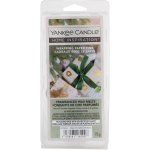 Yankee Candle vonný vosk Wrapping Paper Pine Wax Melts 75 g – Hledejceny.cz