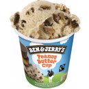 Ben & Jerry's Peanut Butter Cup zmrzlina 465 ml