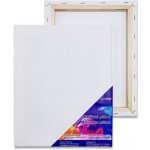 Tempus malířské plátno MP 20X30 280G/M2 – Sleviste.cz