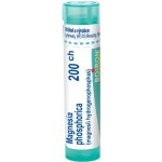 MAGNESIA PHOSPHORICA POR 200CH GRA 1X4G – Hledejceny.cz