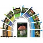 Mičánek Kvarteto: Houby – Hledejceny.cz