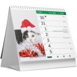 Kočky a koťata stolní 2025 – Zboží Dáma