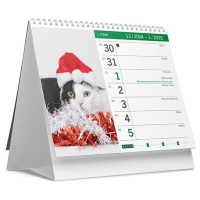 Kočky a koťata stolní 2025 – Zboží Dáma