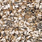 Deli Nature 59 Large Parakeets Standard 3 kg – Zboží Dáma