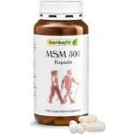 Herbafit BV MSM 500 mg 250 kapslí – Hledejceny.cz
