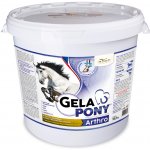 Gelapony Arthro 10,8 kg – Hledejceny.cz