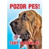 Autovýbava Grel nálepka pozor pes bloodhound
