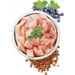 Carnilove True Fresh Turkey Puppy 11,4 kg – Zboží Mobilmania