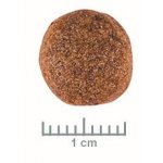 Royal Canin Veterinary Diet Dog Gastrointestinal 7,5 kg – Hledejceny.cz