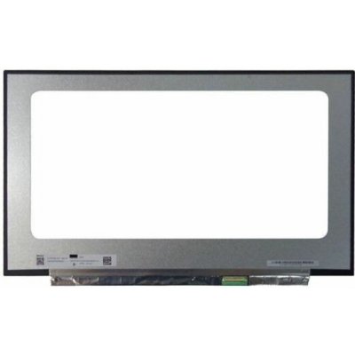 Display B173HAN05.4 LCD 17.3" 1920x1080 WUXGA Full HD LED 40pin Slim 360Hz matný povrch – Zboží Živě