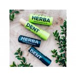 HERBADENT FORTE Balzám na rty z bylin 5 ml – Zboží Dáma