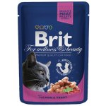 Brit Premium Cat Salmon & Trout 100 g – Sleviste.cz