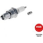 NGK Zapalovací svíčka 4129 – Hledejceny.cz