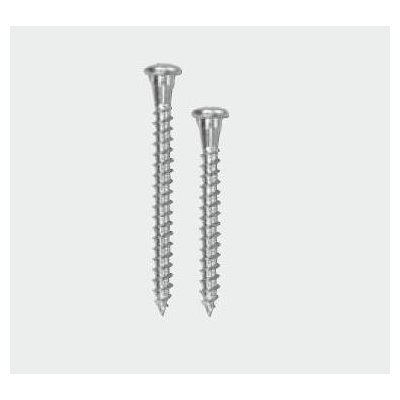 Vrut pro Fe desky, tes. Kov. TX20 5x50 ZB s půlkulatou hlavou / balení 200 ks – Zboží Mobilmania