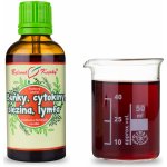 Bylinné kapky Buňky cytokiny slezina lymfa Netopýr 3 tinktura 50 ml – Hledejceny.cz