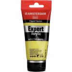 Amsterdam Akrylová barva 75 ml Greenish Yellow Light – Hledejceny.cz
