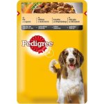 Pedigree Adult kuře zelenina 100 g – Sleviste.cz