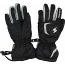 Blizzard rider junior ski gloves back silver