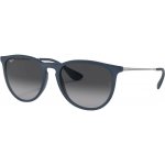 Ray-Ban Erika Color Mix RB4171 60028G – Hledejceny.cz