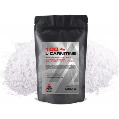 VALKNUT 100% L-Carnitine 250 g – Zboží Dáma