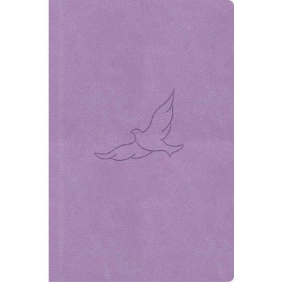 Bible, překlad 21. století (lila) - kapesní – Hledejceny.cz