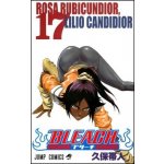 Bleach 17 – Hledejceny.cz