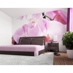 AG design FTS-0049 Papírová fototapeta Violet Orchid big rozměry 360 x 254 cm