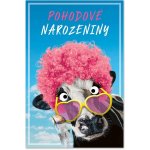 Ditipo Blahopřání HK - POHODOVÉ NAROZENINY HK – Sleviste.cz