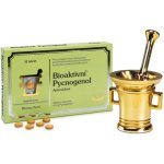 PHX Bioaktivní Pycnogenol 30 tablet – Hledejceny.cz