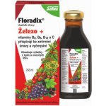 Salus Floradix sirup proti únavě 250 ml – Hledejceny.cz