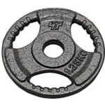 HAMMERTONE Litinový kotouč 1,25kg 29mm – Zboží Mobilmania