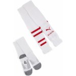 Puma TEAM SKS GRAPHIC SOCKS PROMO – Zboží Dáma