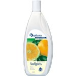 Spitzner Esence do sauny Grapefruit 1 l – Hledejceny.cz