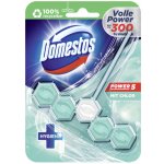 Domestos WC blok Power 5 s chlórem 55 g – Zbozi.Blesk.cz