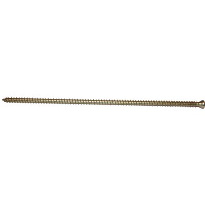 Vruty RAPI-TEC VG 8x280mm válcová hlava TX40 galvanický zinek – Hledejceny.cz