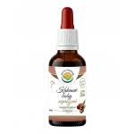 Salvia Paradise Kakaové boby AF tinktura 50 ml – Hledejceny.cz