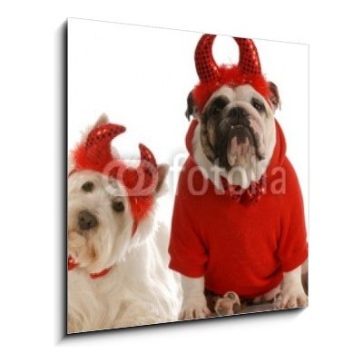 Obraz 1D - 50 x 50 cm - two devils - bulldog and west highland white terrier dva ďábli – Hledejceny.cz