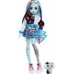 Mattel MONSTER HIGH FRANKIE STEIN – Hledejceny.cz