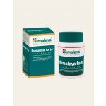 Himalaya Rumalaya Forte 60 tablet – Hledejceny.cz