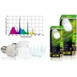 Hagen ExoTerra Repti Glo 5.0 13 W – Sleviste.cz