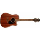 Takamine GD11MCE-NS