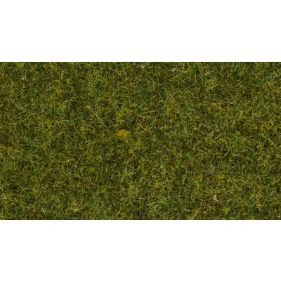 Noch Statická tráva Louka 4 mm – Zboží Dáma