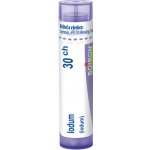 IODUM POR 30CH GRA 1X4G – Hledejceny.cz