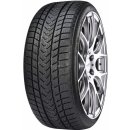 Gripmax SureGrip Pro Winter 205/55 R17 95V