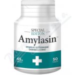 Theo Herbs Amylasin 50 kapslí – Hledejceny.cz